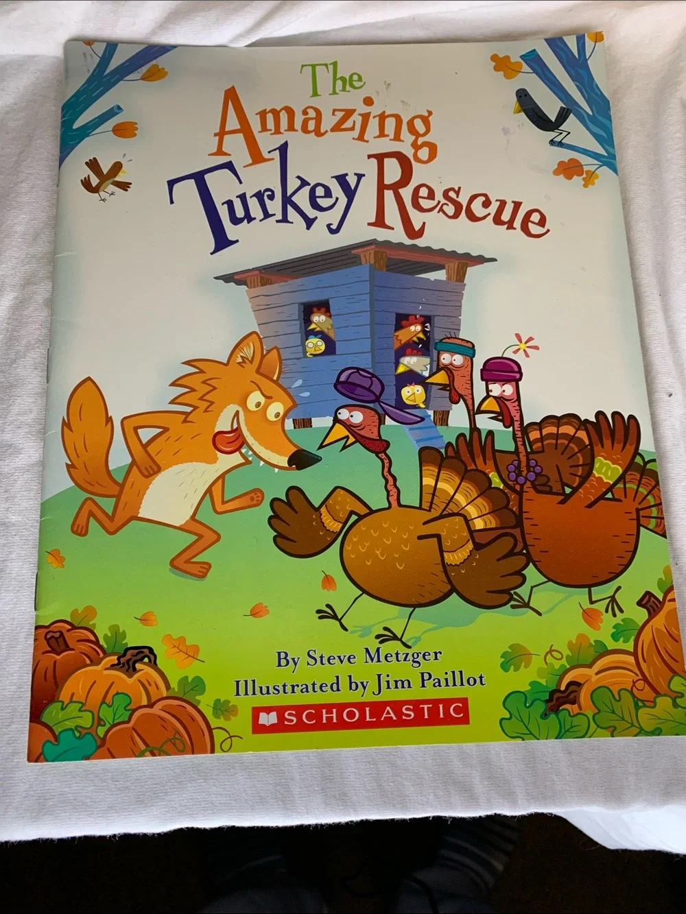 Scholastic Childrens book Bundle